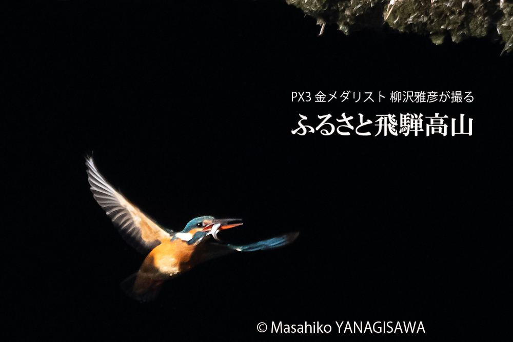 　撮影・柳沢雅彦