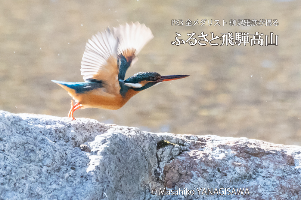 　撮影・柳沢雅彦