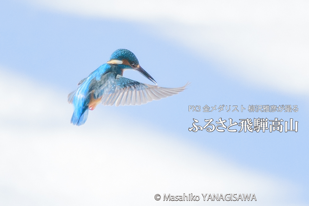 　撮影・柳沢雅彦