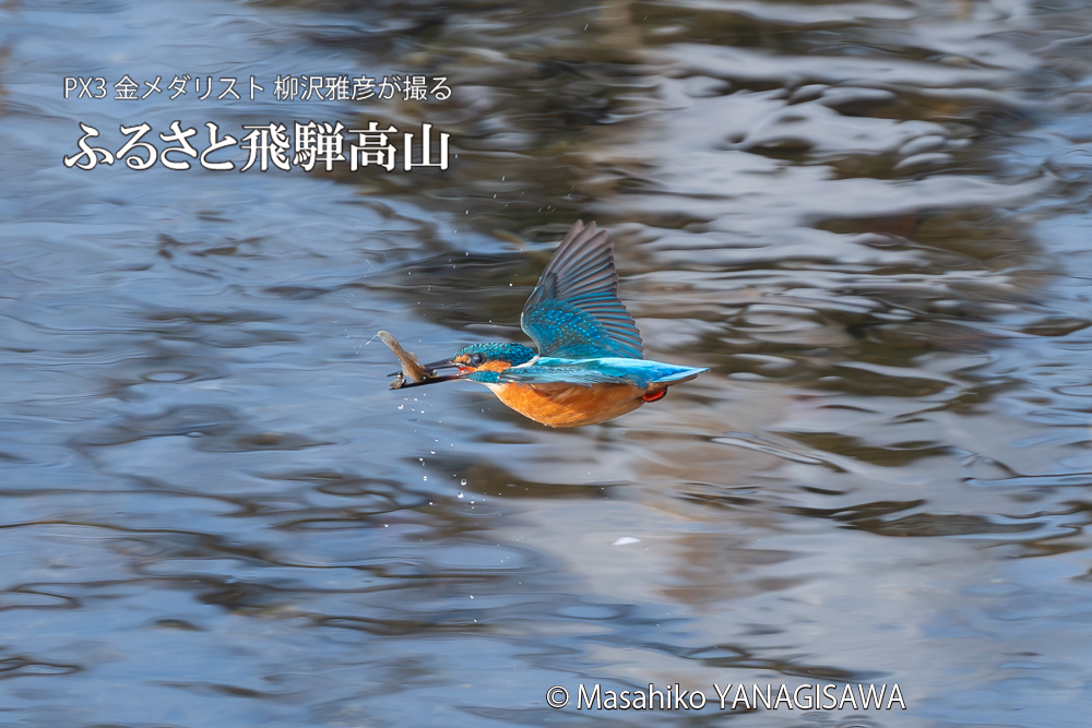 　撮影・柳沢雅彦