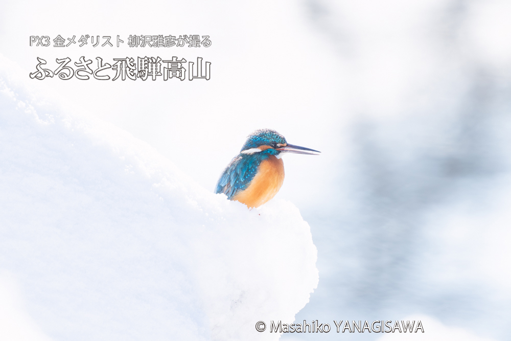 　撮影・柳沢雅彦