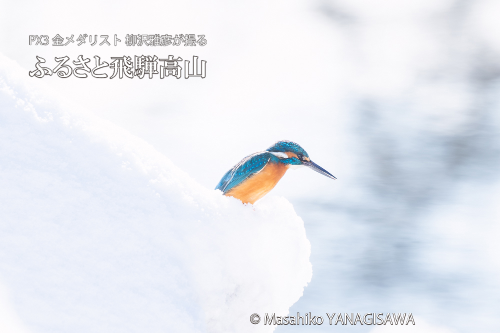 　撮影・柳沢雅彦