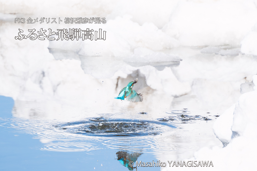　撮影・柳沢雅彦