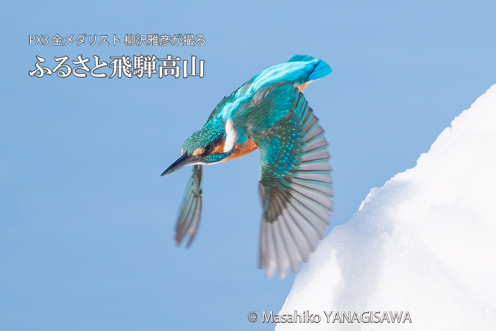 　撮影・柳沢雅彦