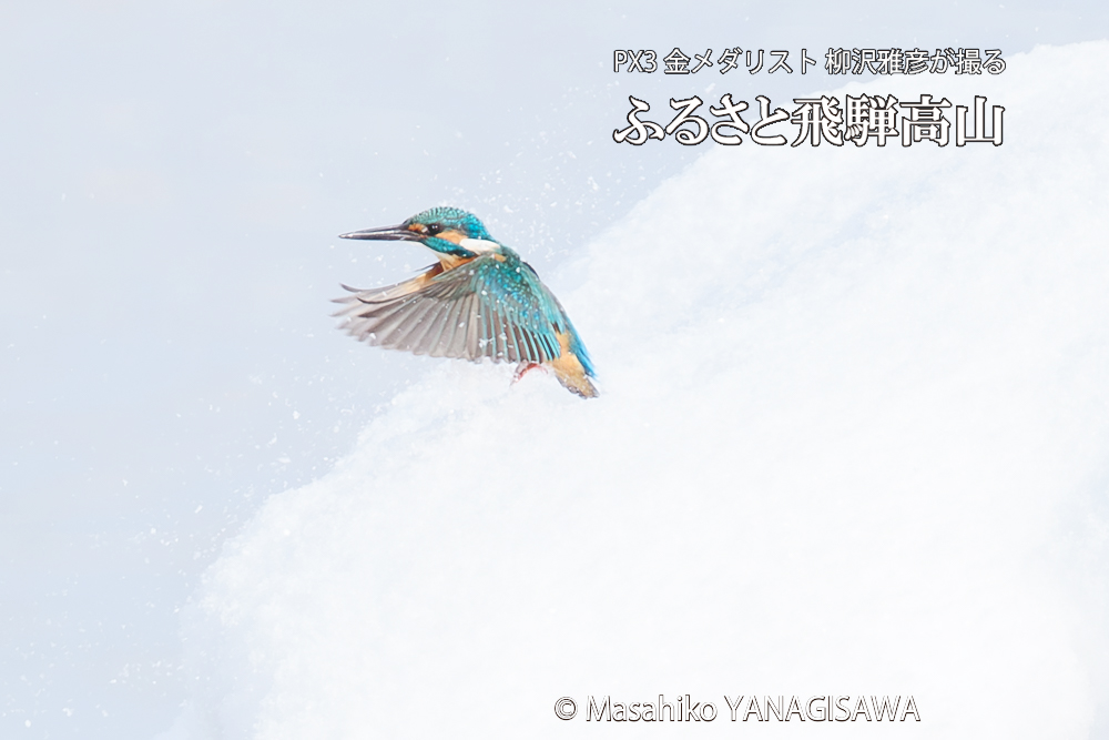 　撮影・柳沢雅彦