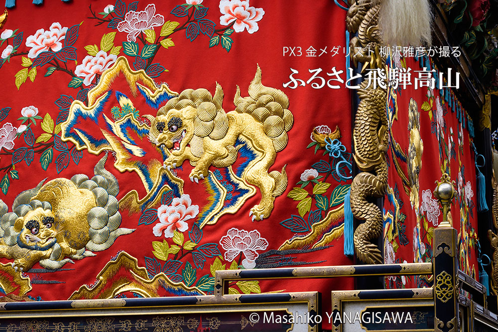 春の高山祭（山王祭）下絵・円山応挙 ／撮影・柳沢雅彦