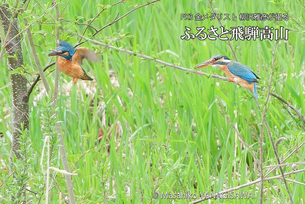 　撮影・柳沢雅彦