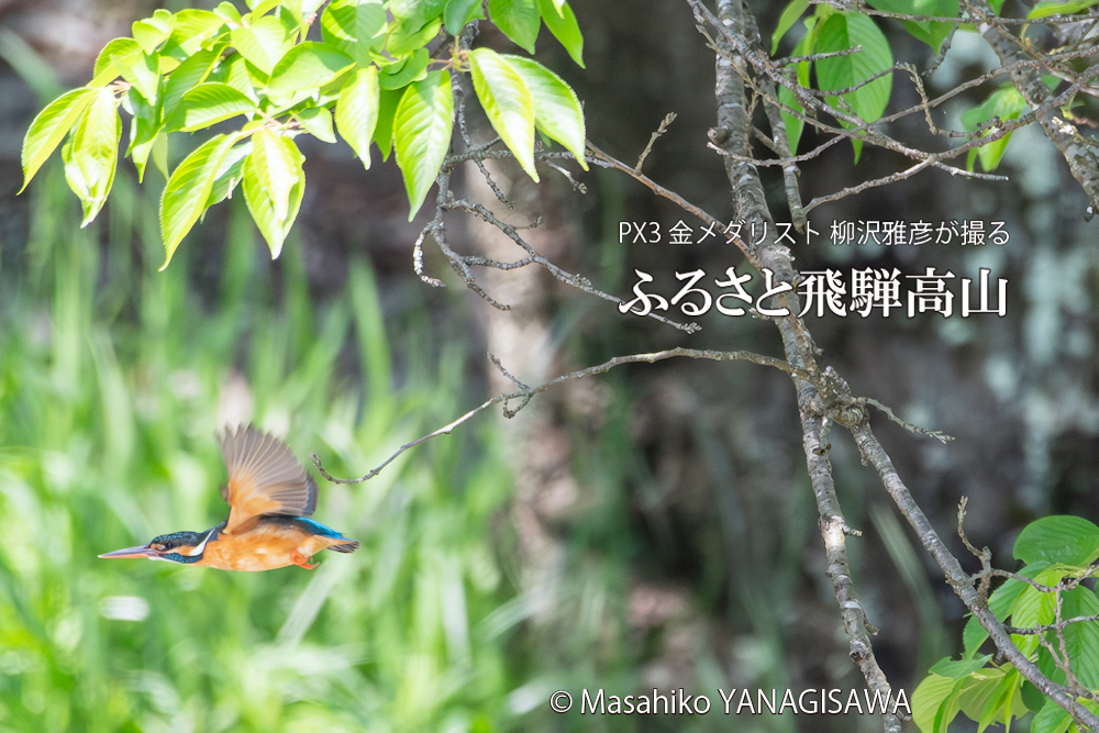 　撮影・柳沢雅彦