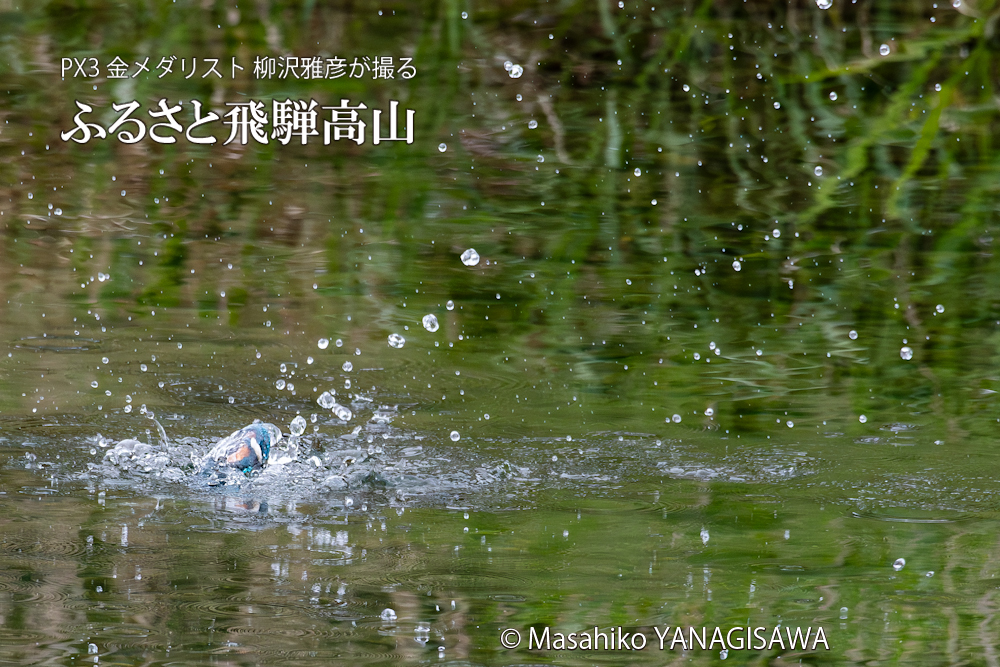 　撮影・柳沢雅彦