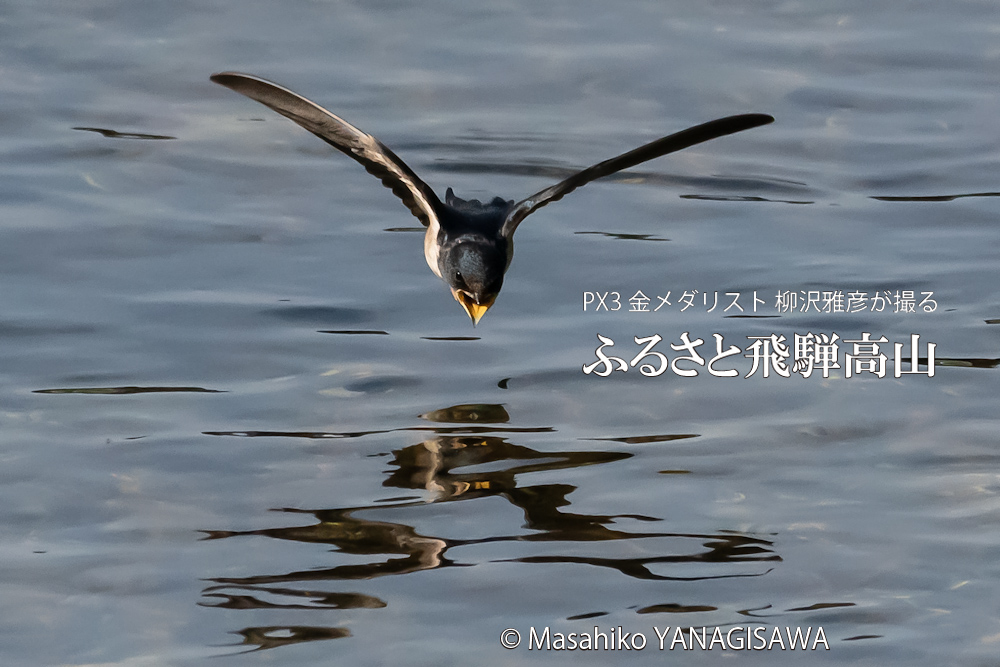 　撮影・柳沢雅彦