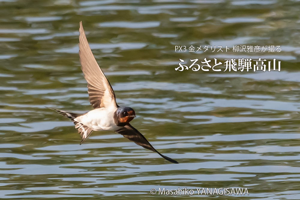 　撮影・柳沢雅彦