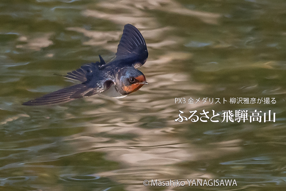 　撮影・柳沢雅彦