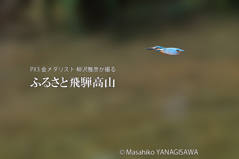 　撮影・柳沢雅彦