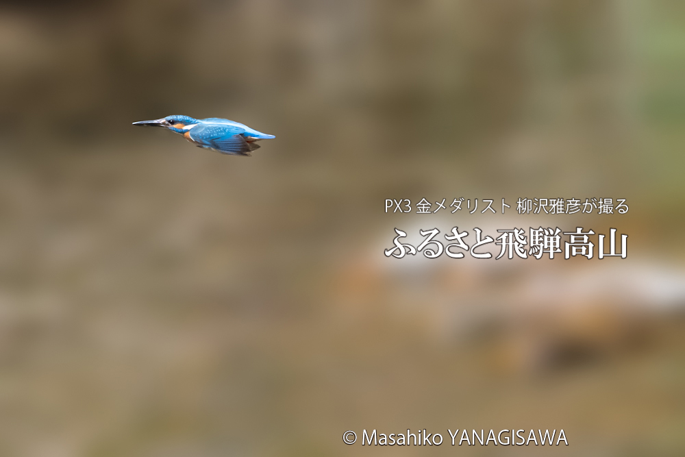 　撮影・柳沢雅彦