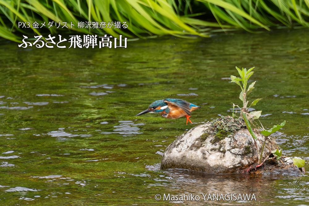 　撮影・柳沢雅彦