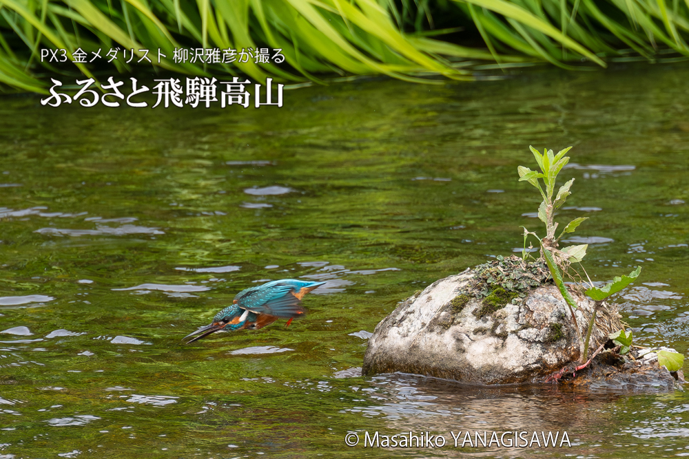　撮影・柳沢雅彦