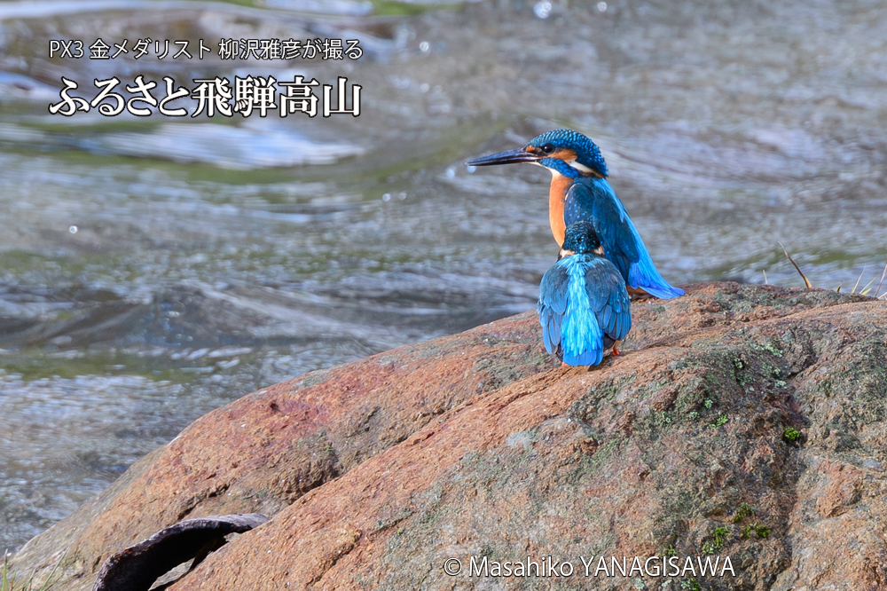 　撮影・柳沢雅彦