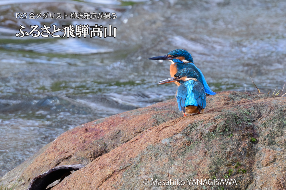 　撮影・柳沢雅彦