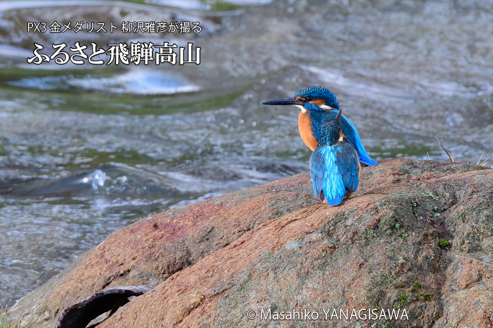 　撮影・柳沢雅彦