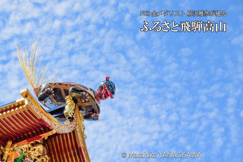 　撮影・柳沢雅彦