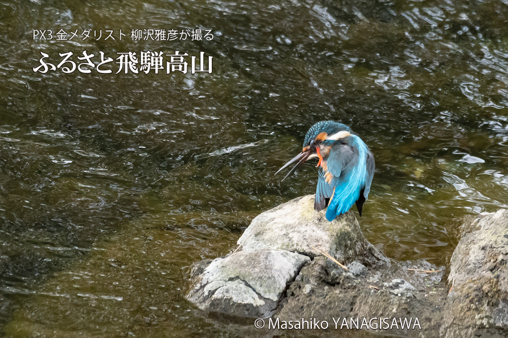 　撮影・柳沢雅彦