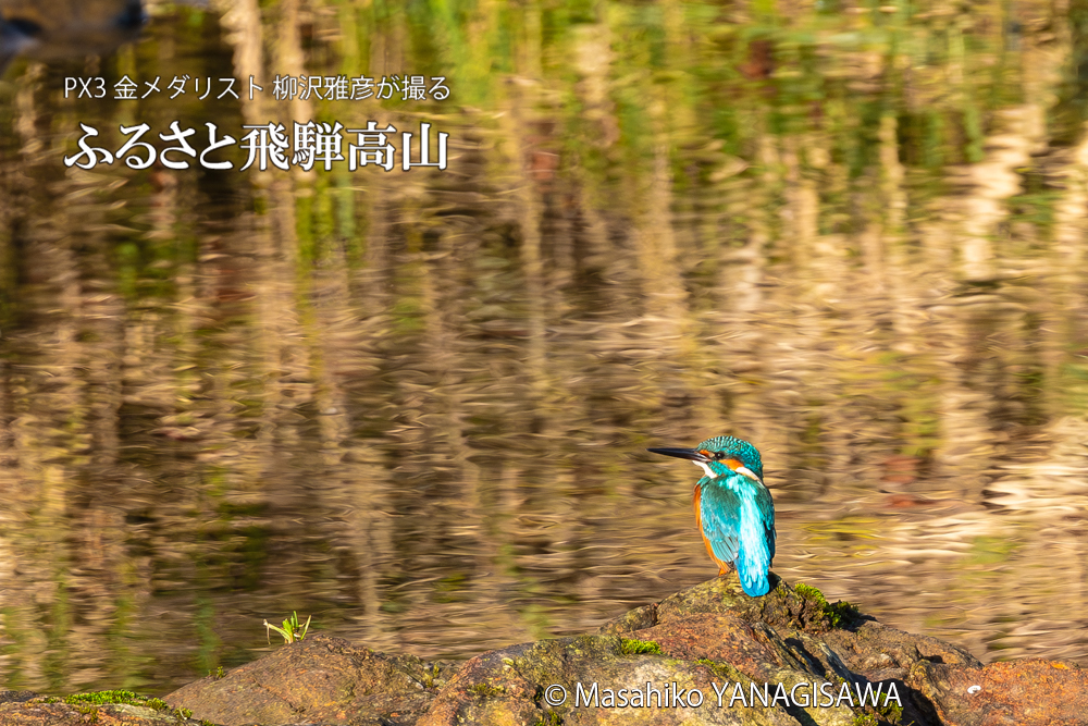 　撮影・柳沢雅彦