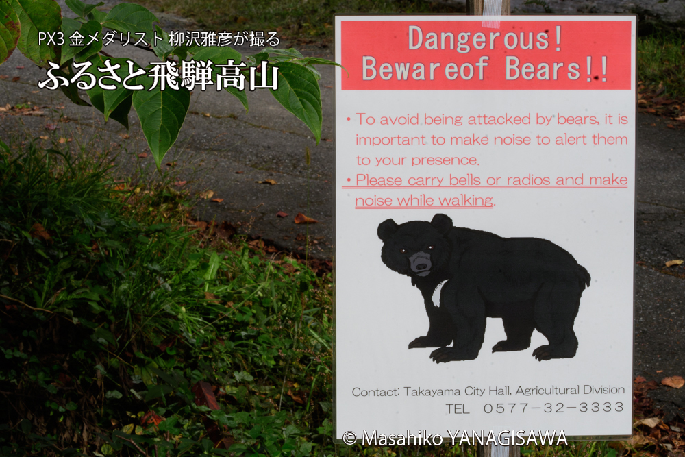 クマ出没注意の告知看板の写真です。